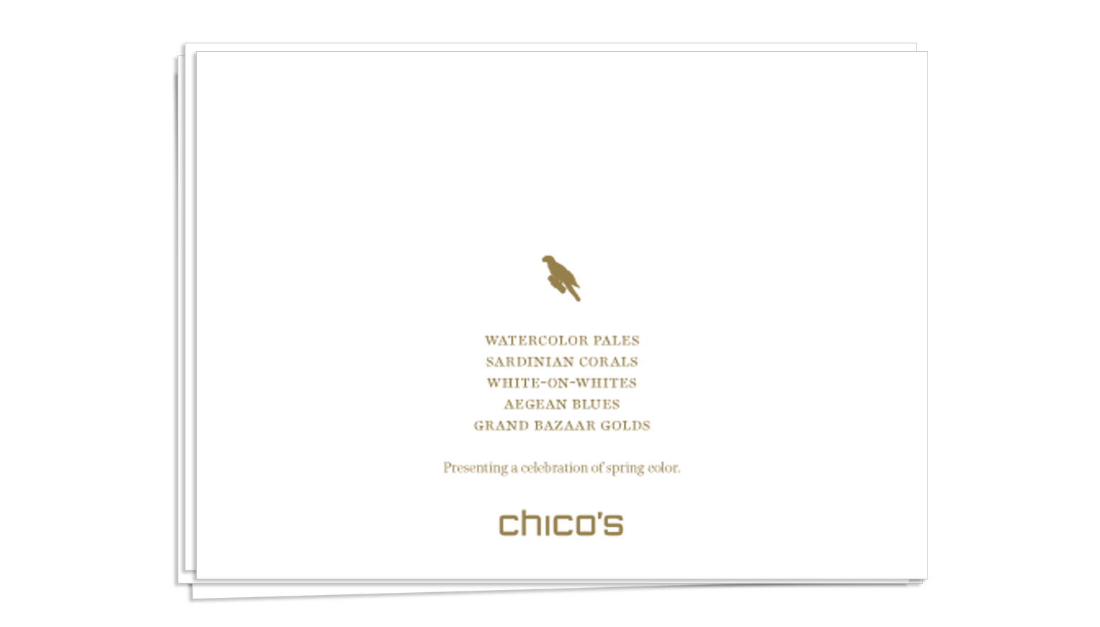chico's2.jpg